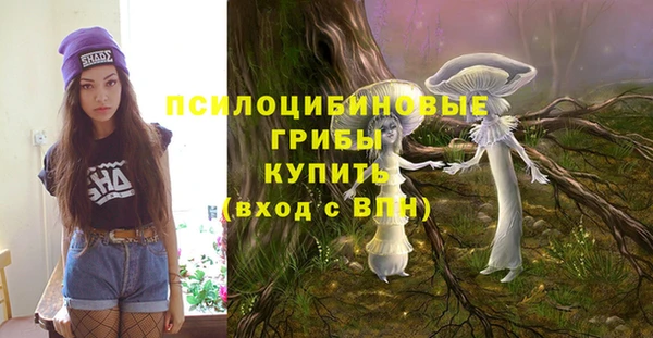 2c-b Аркадак